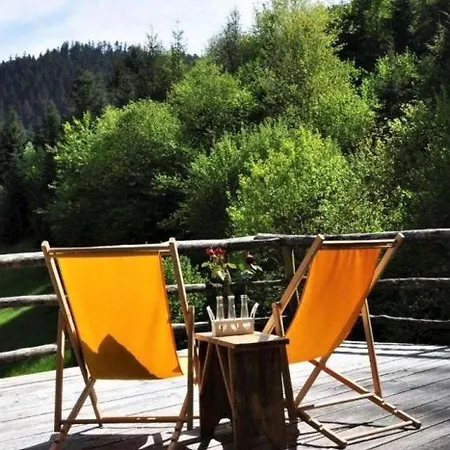 بيت للعطل Blockhaus Schwarzwald Hutte شنكنزل